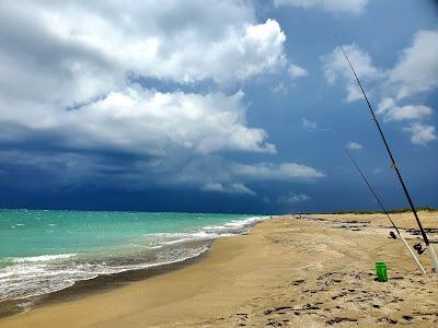 Sandee - Blue Heron Beach