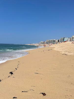 Sandee - Praia Do Leixao