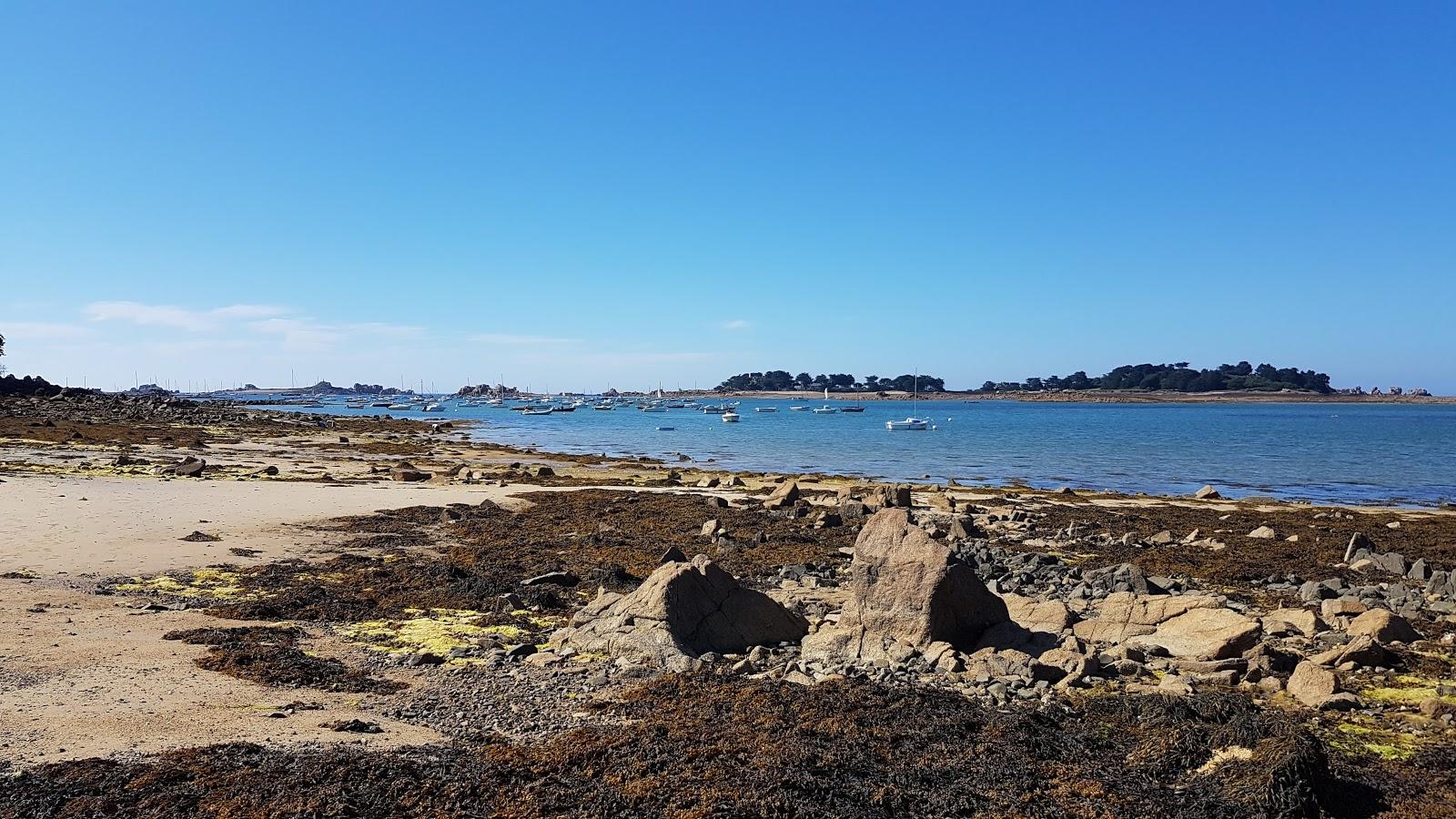 Sandee - Plage Dans L'Anse De Pellinec