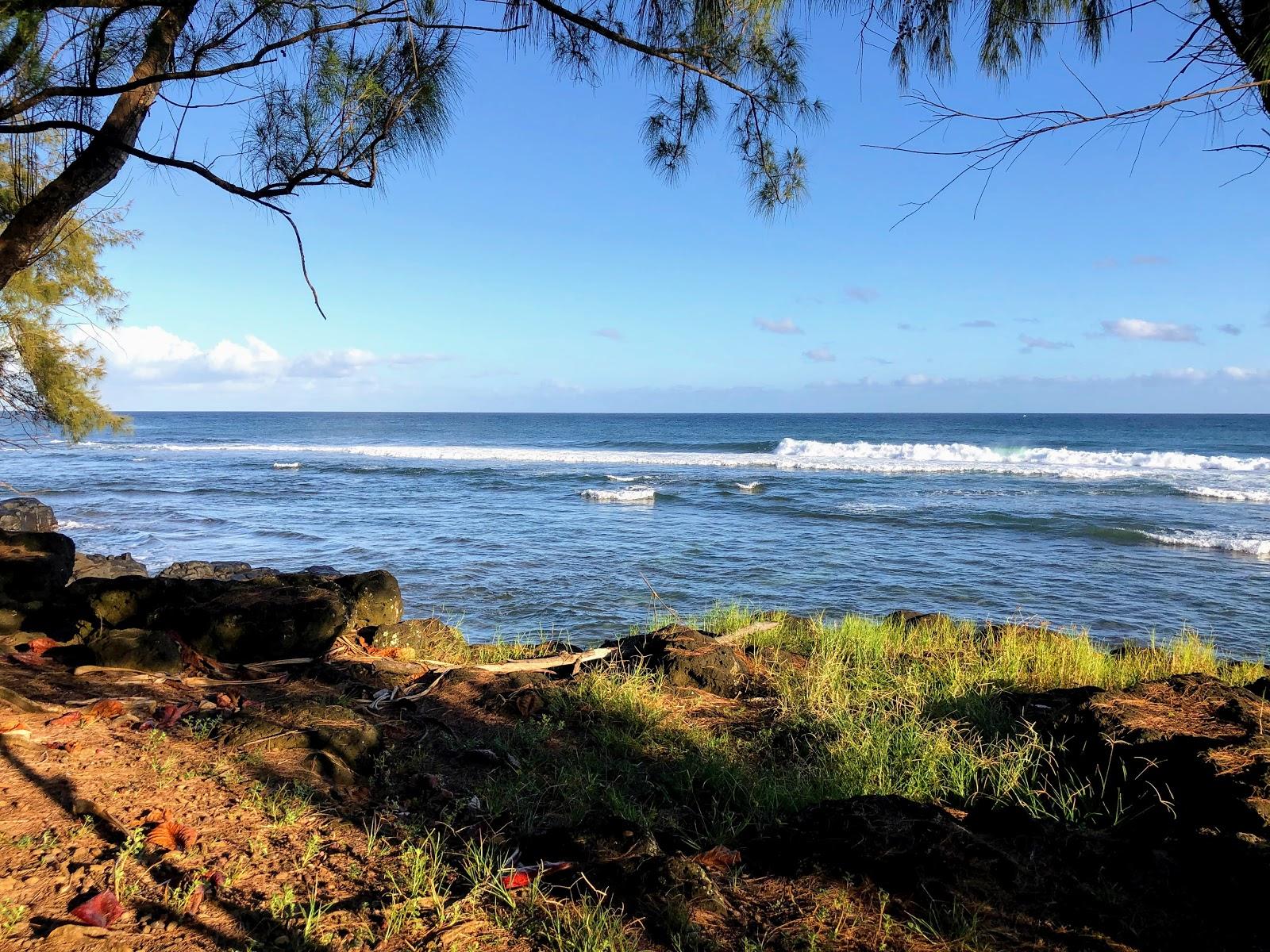 Sandee - Sealodge Beach