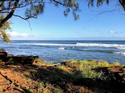 Sandee - Sealodge Beach