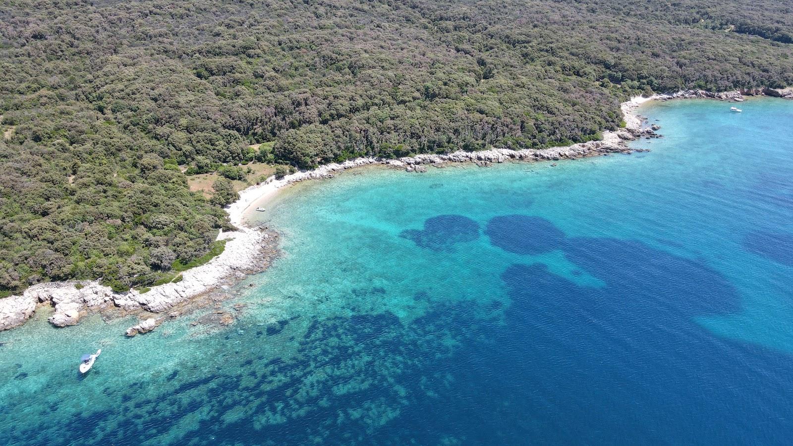 Sandee Beach Of Portogruaresi