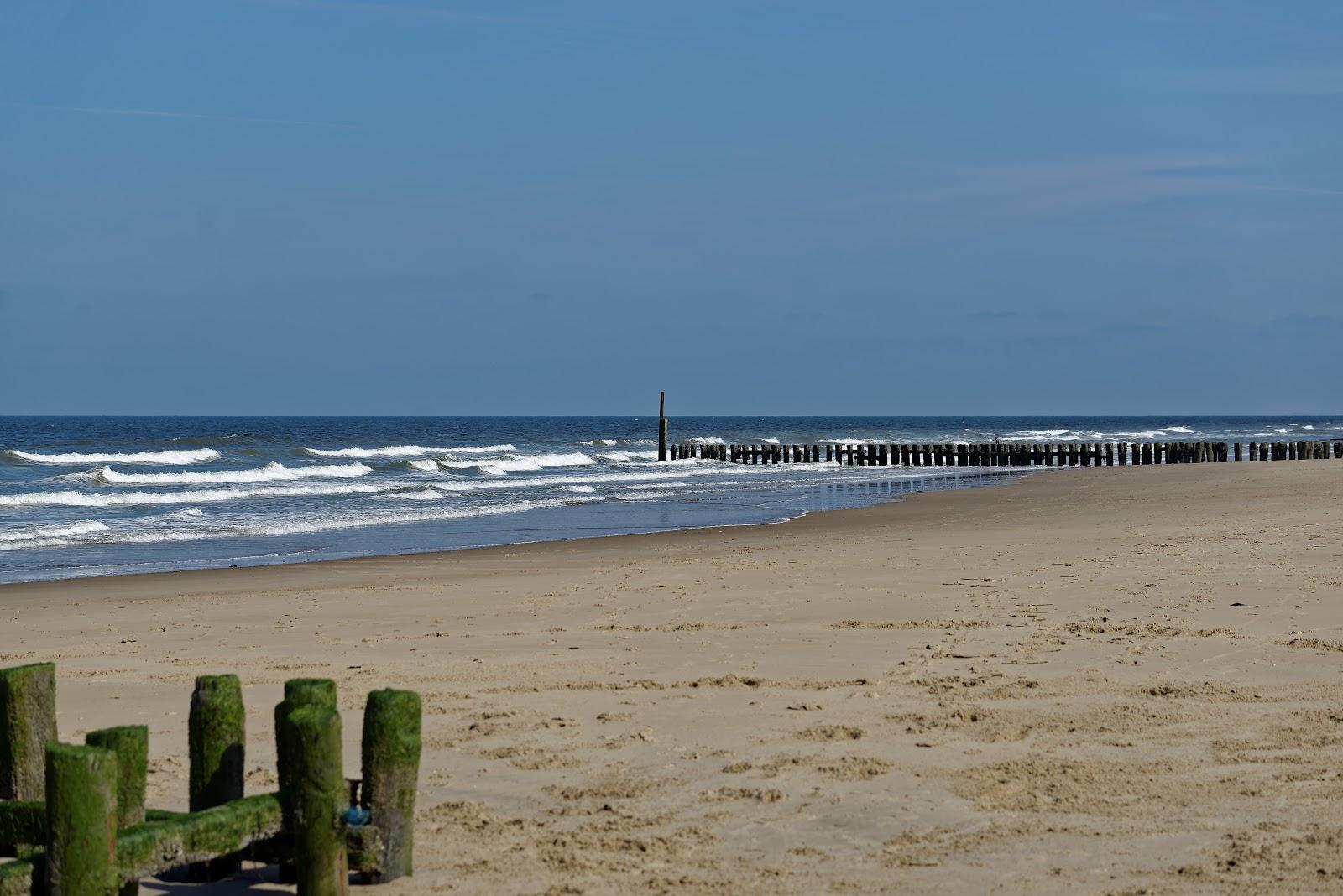 Sandee Stranddijk Westkapelle Photo