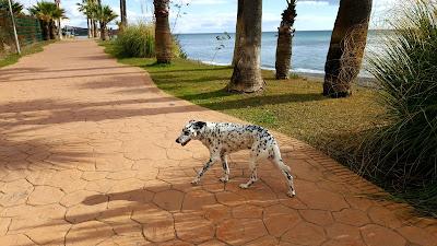 Sandee - Playa Del Arroyo De Las Canas