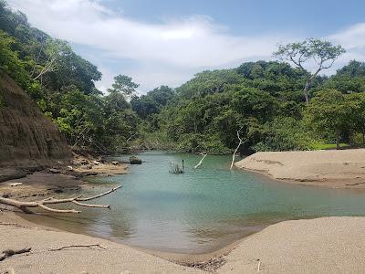 Sandee - Playa Cocalito