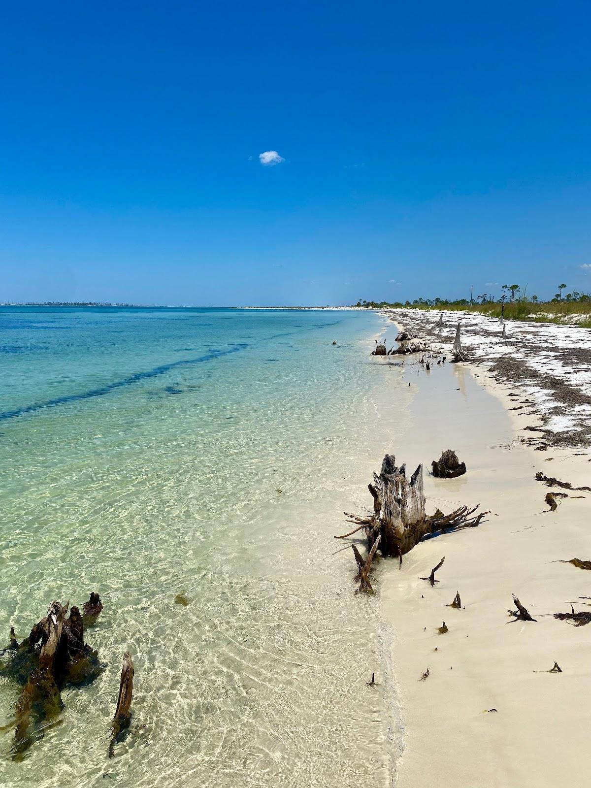 Sandee - Shell Island Beach