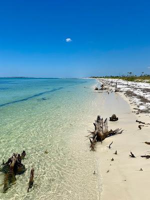 Sandee - Shell Island Beach