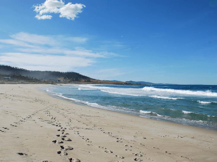 Sandee Four Mile Creek Beach