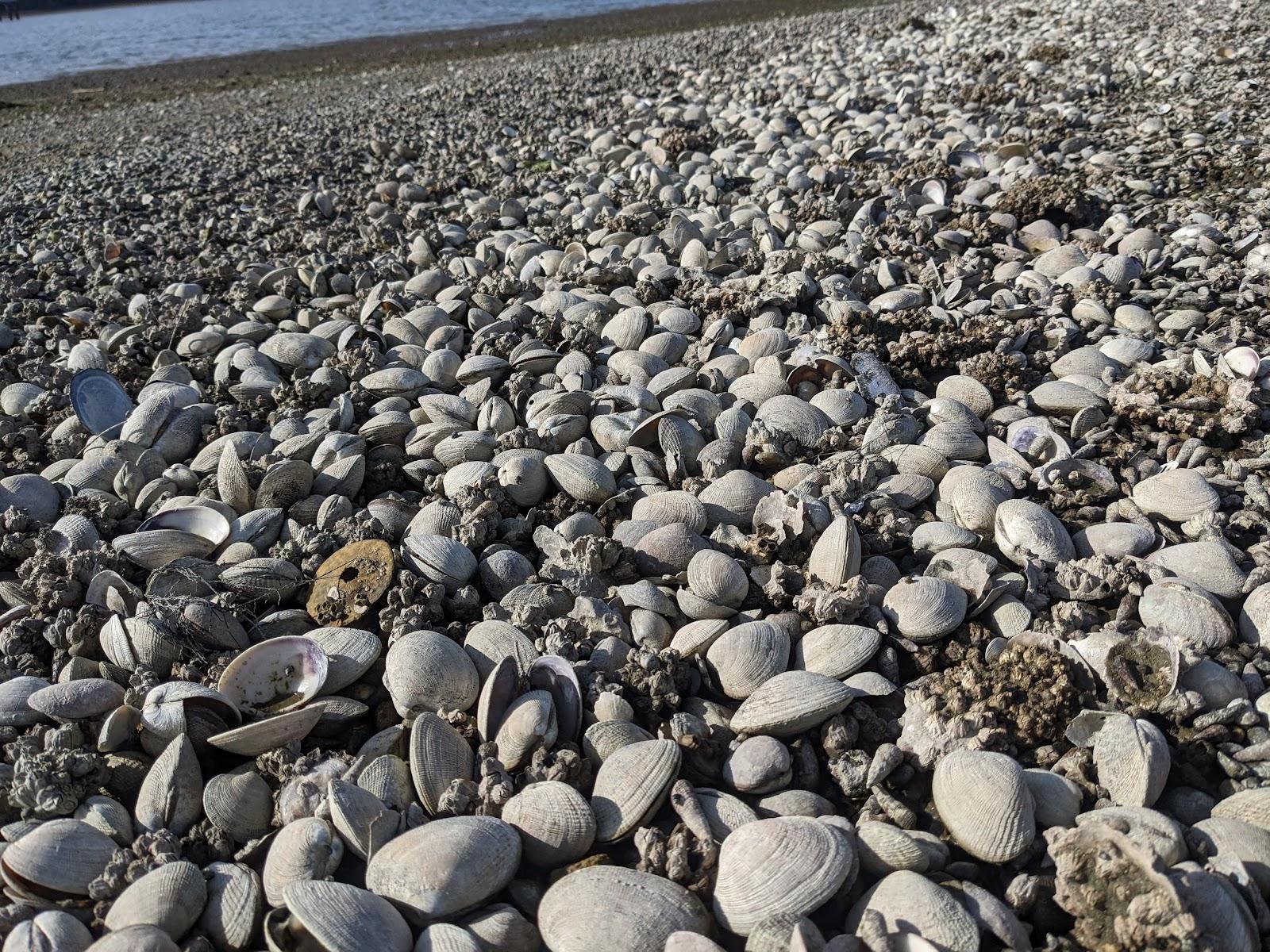 Sandee - Wdfw North Bay Clamming Access Site