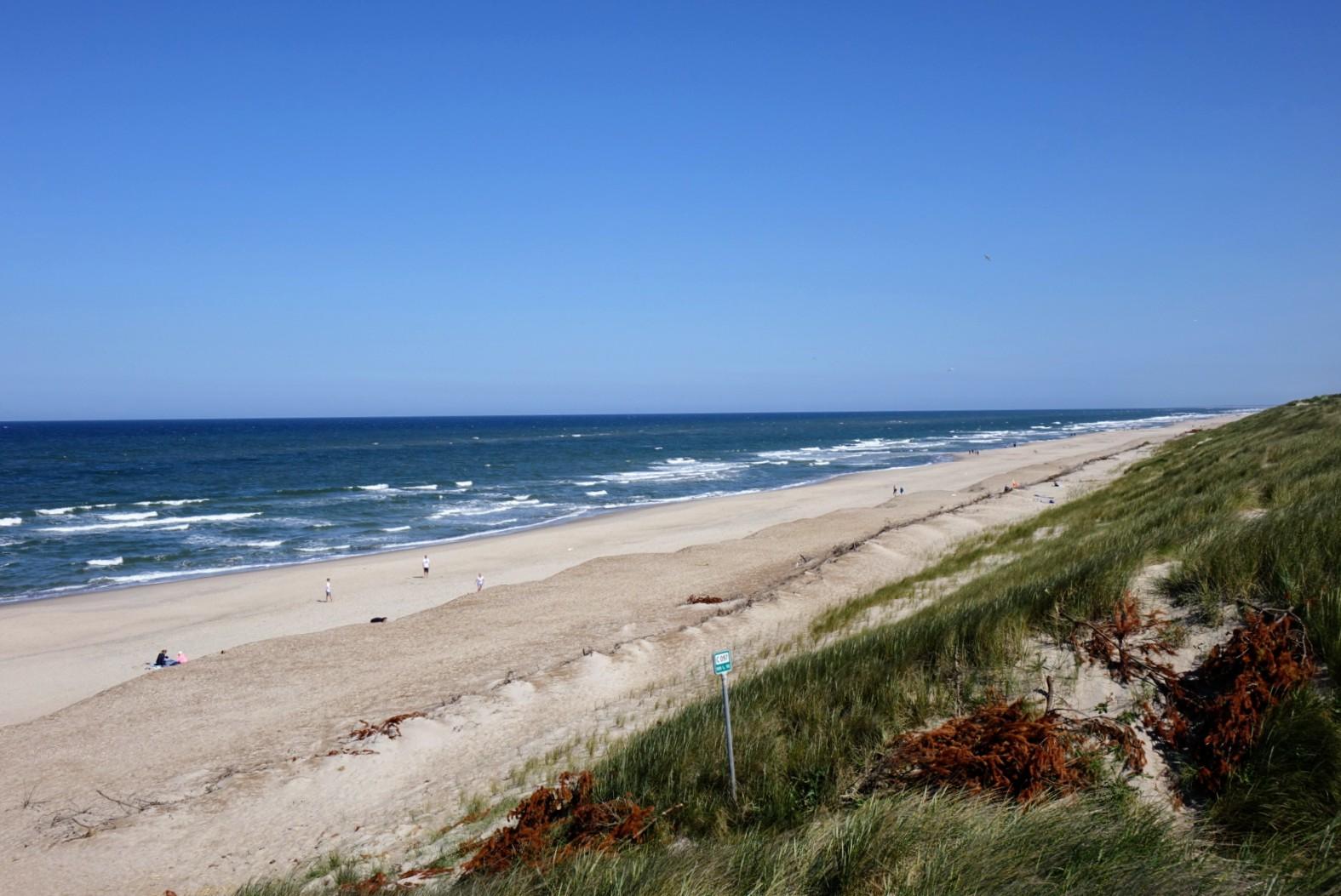 Sandee Houvig Strand