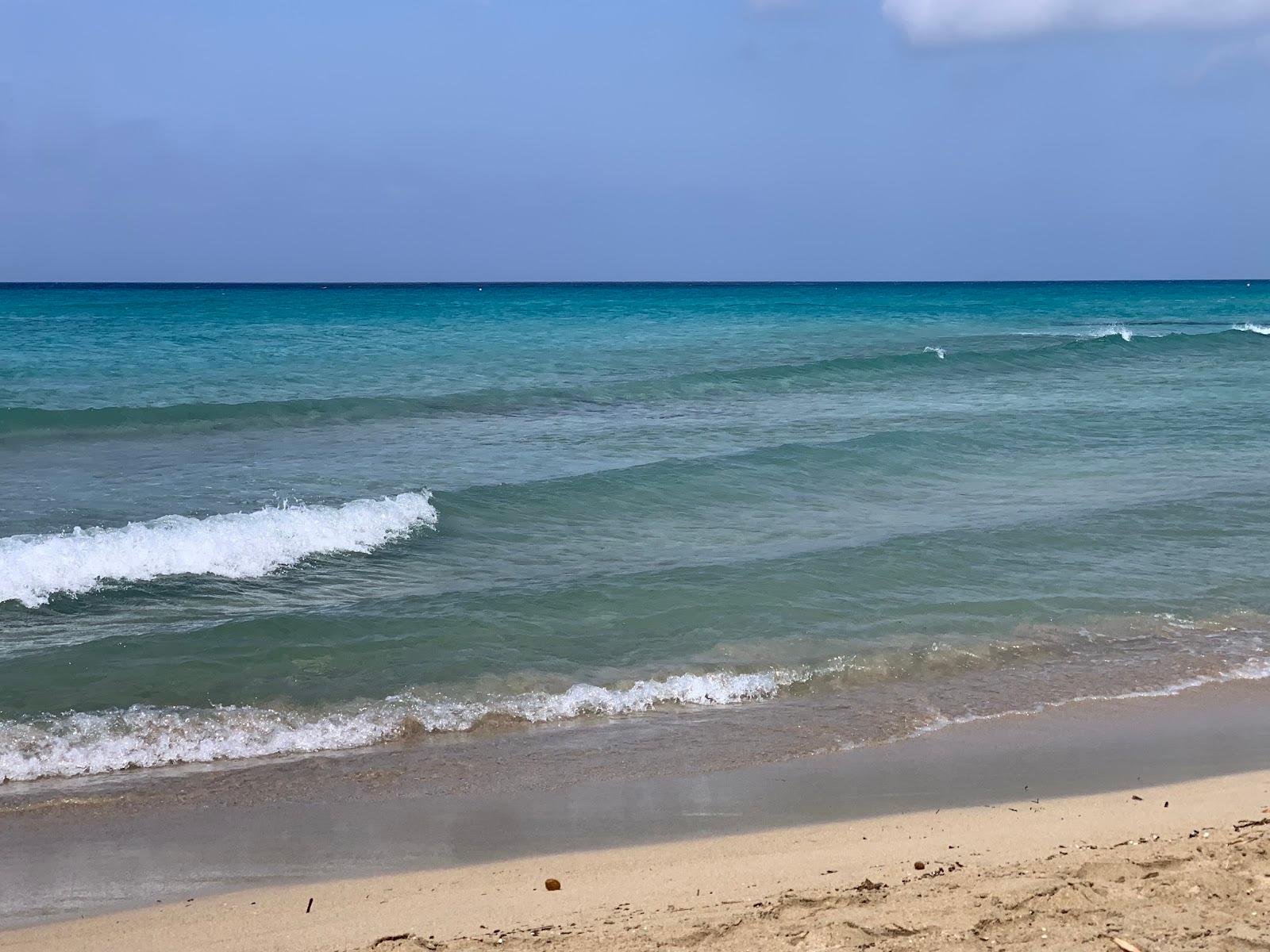 Sandee - Marakaibbo Beach