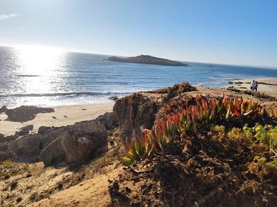 Sandee - Praia Da Ilha Do Pessegueiro