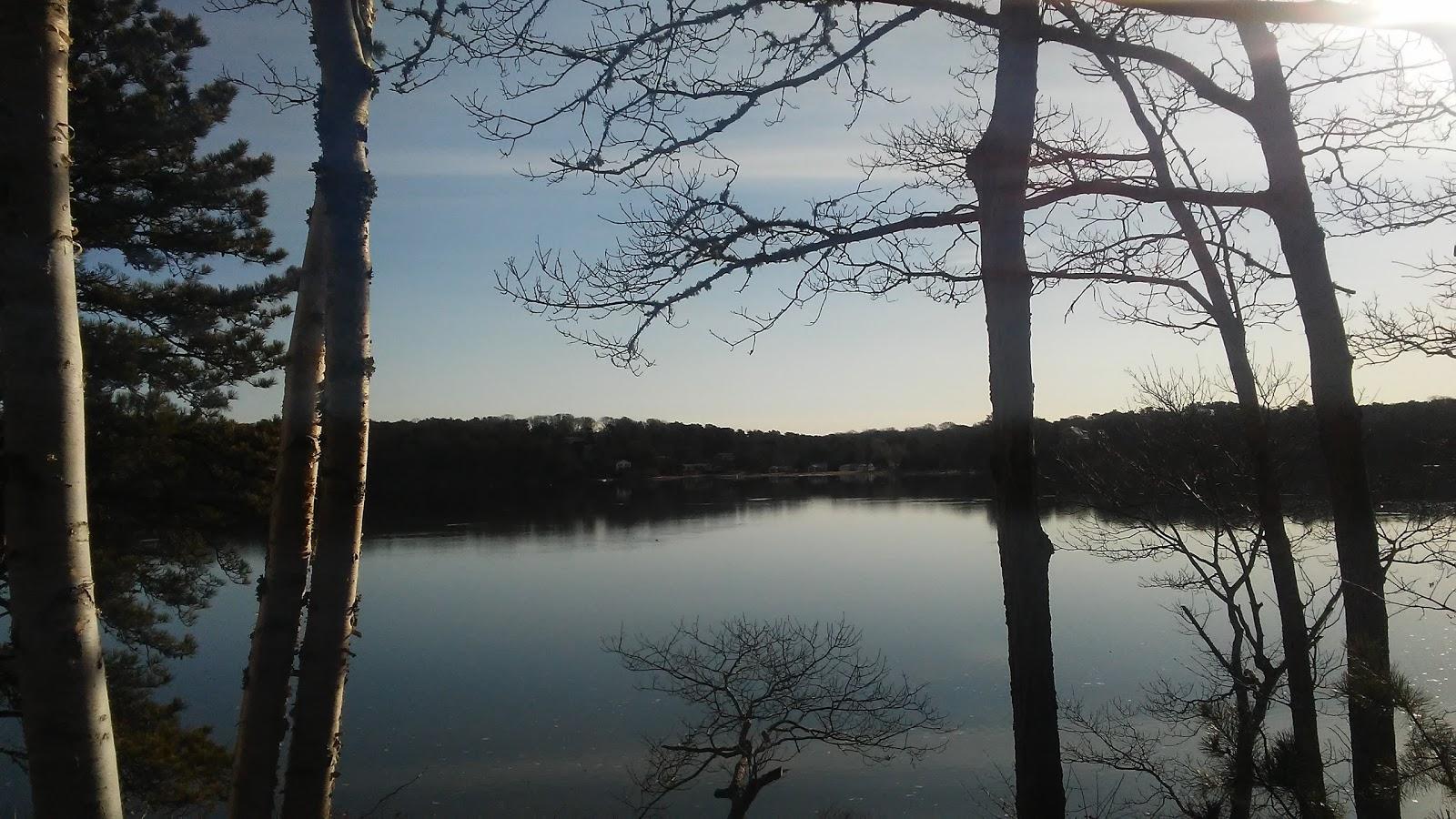 Sandee Follins Pond