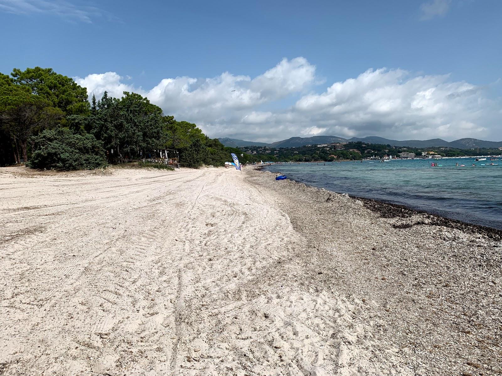 Sandee Plage De Pinarellu Photo