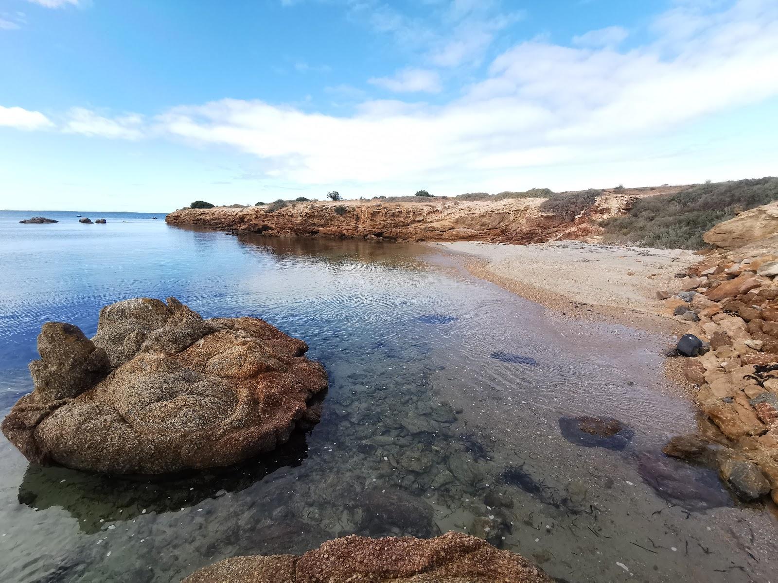 Sandee Shell Beach Photo