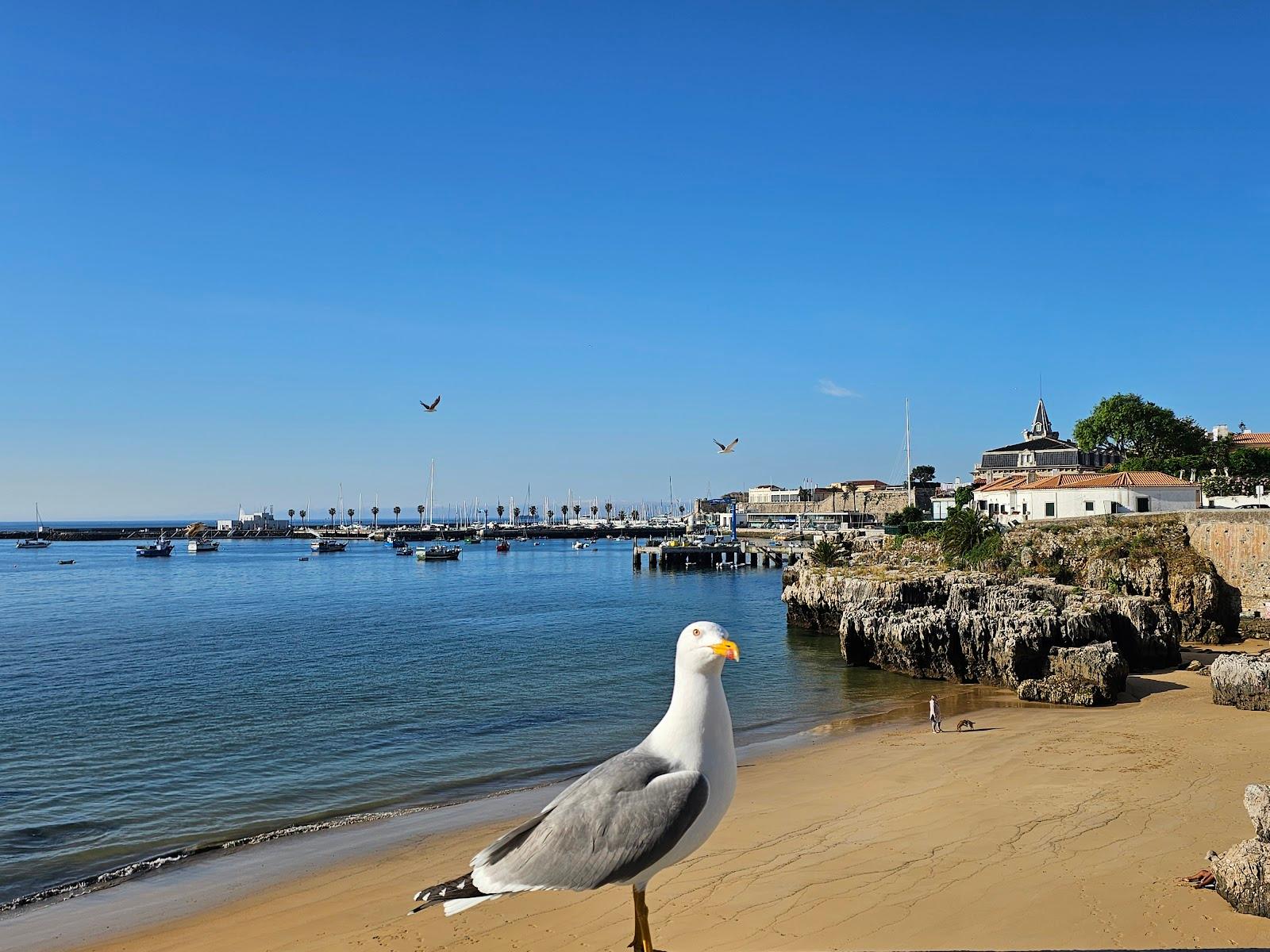 Sandee - Praia Da Rainha