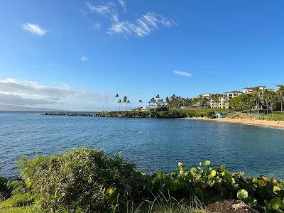 Sandee - Kapalua Beach