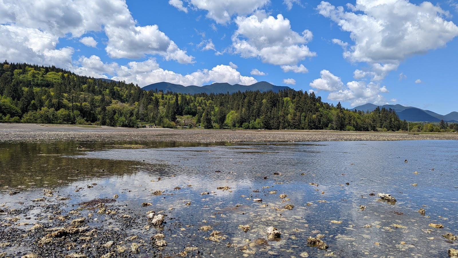 Sandee North Quilcene Bay Tidelands