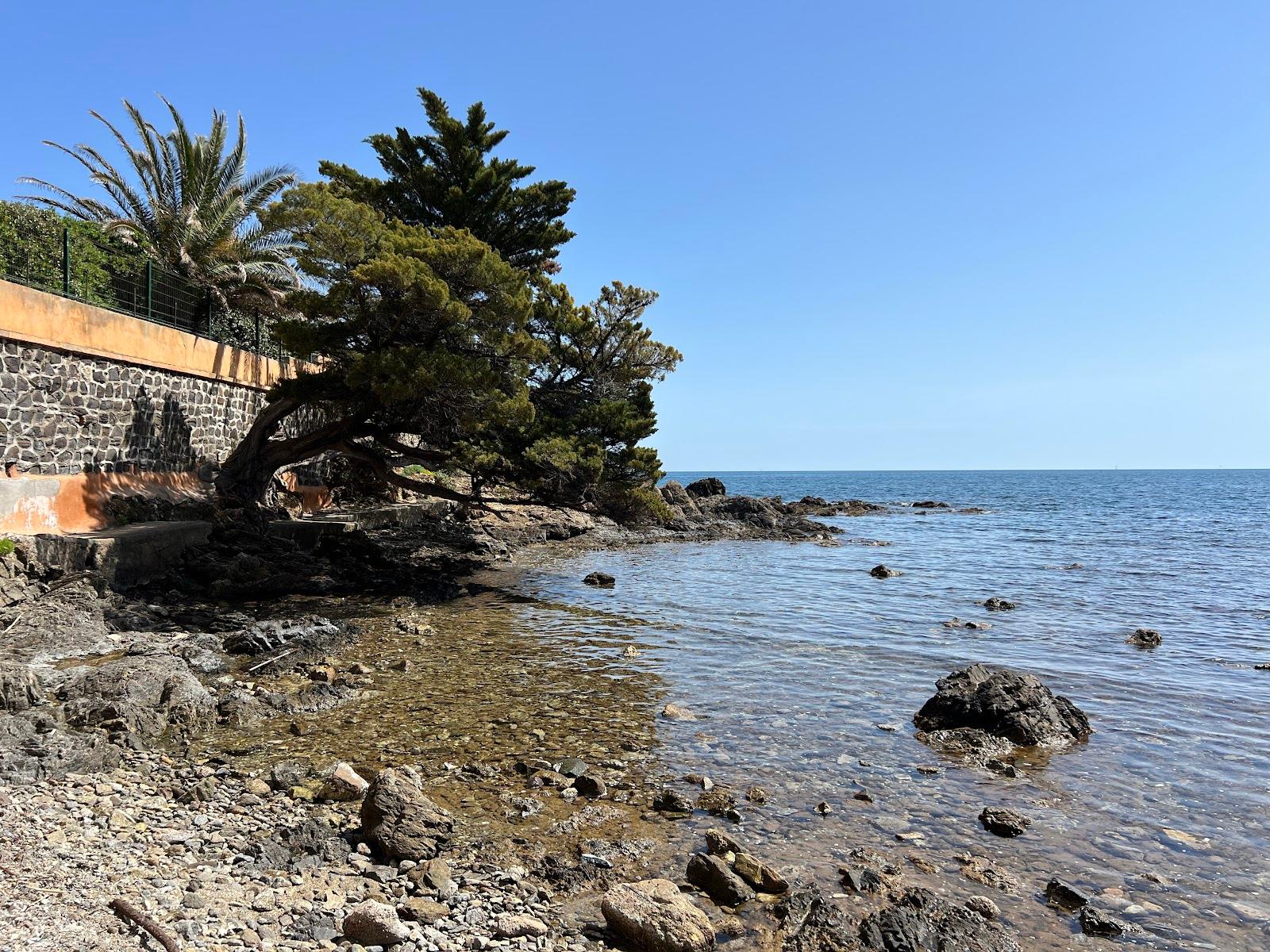 Sandee Beach Calanque Des Louvans Photo