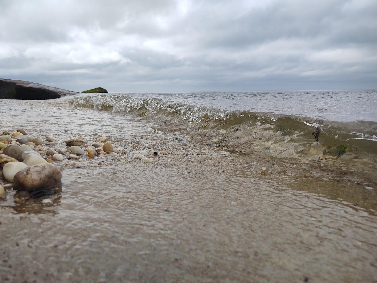 Sandee Reeves Beach Photo