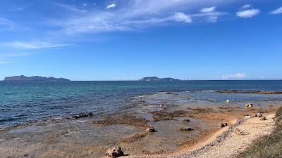 Sandee - Spiaggia Di San Teodoro