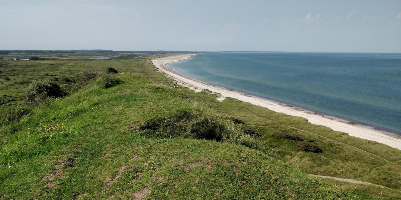 Sandee Grønne Strand Photo