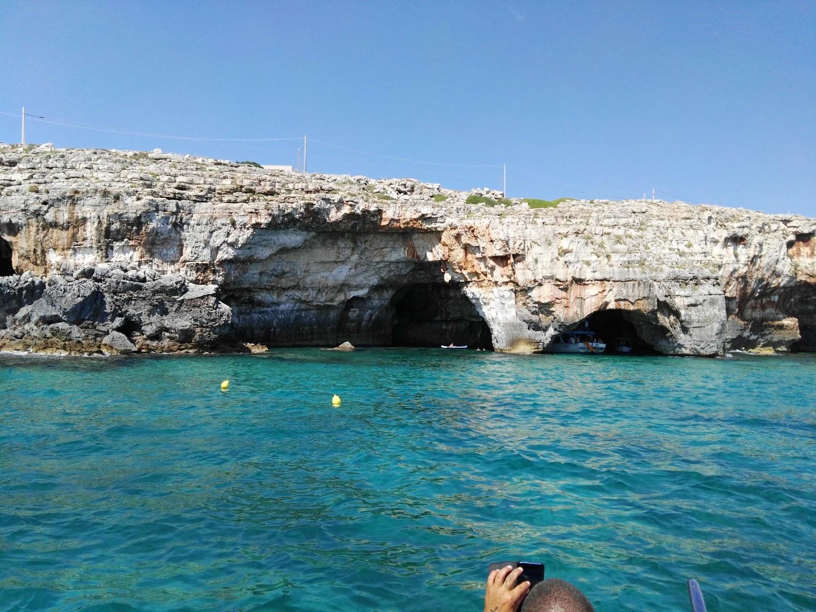 Sandee Mare Stupendo