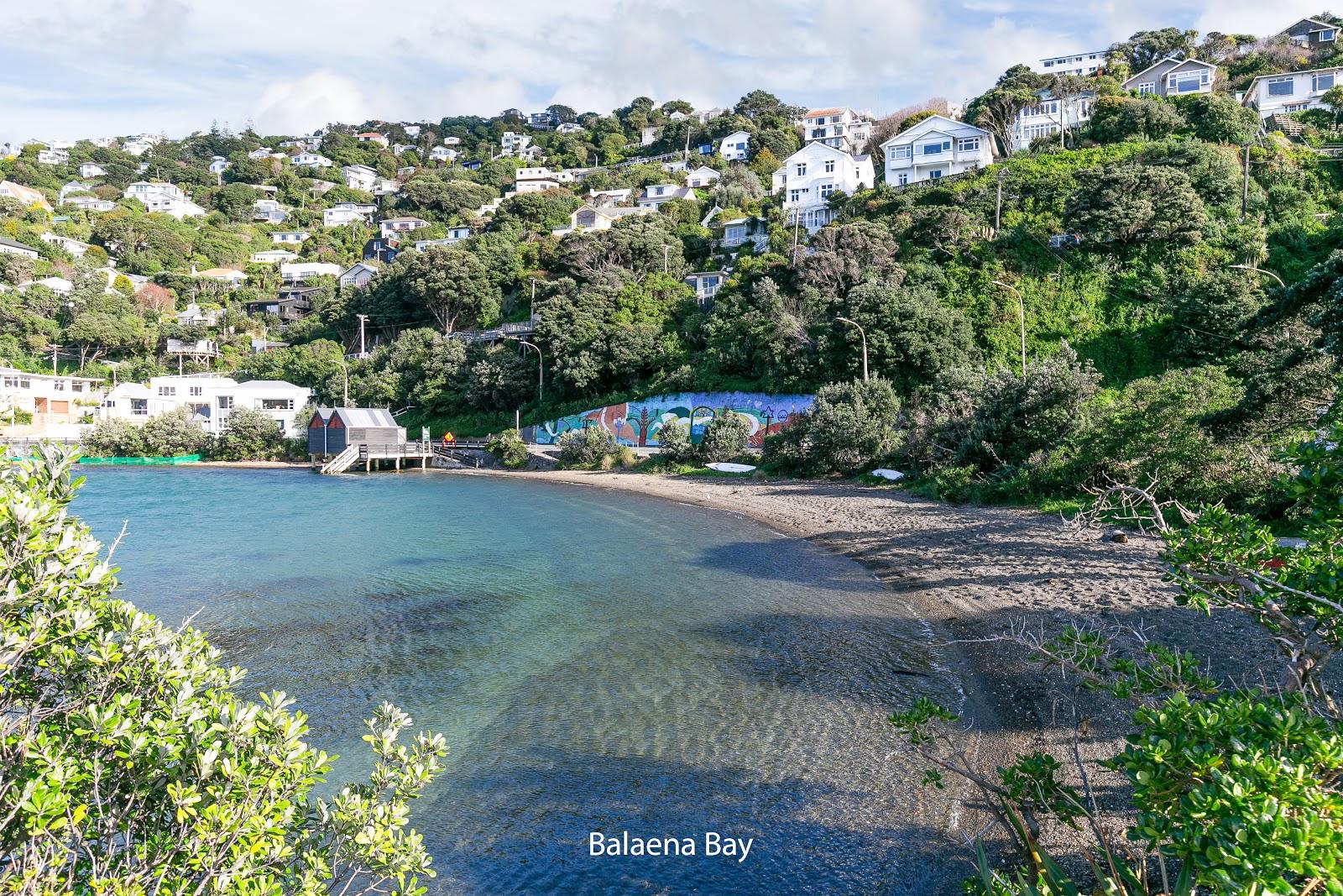 Sandee Balaena Bay