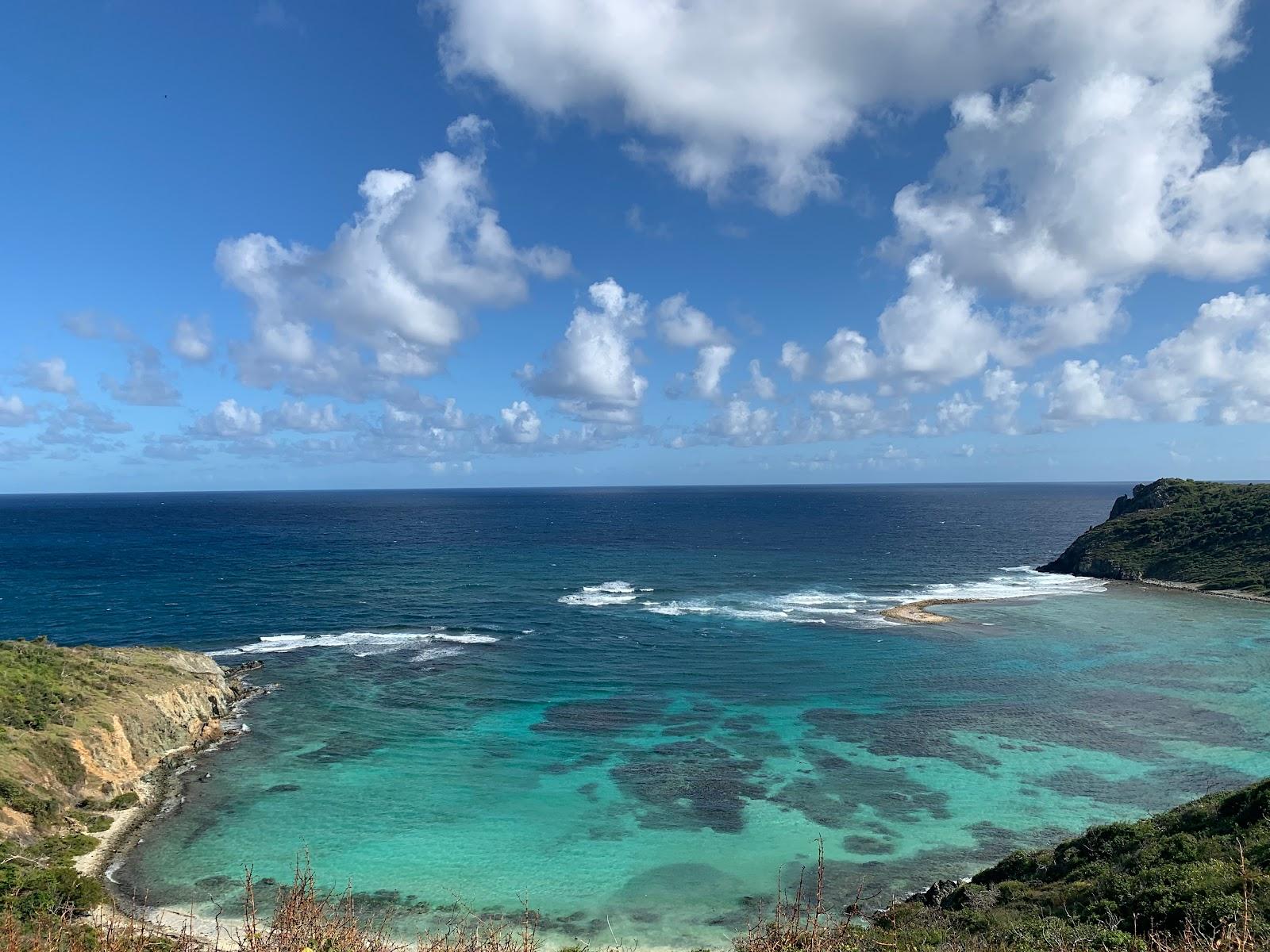 Sandee Norman Island
