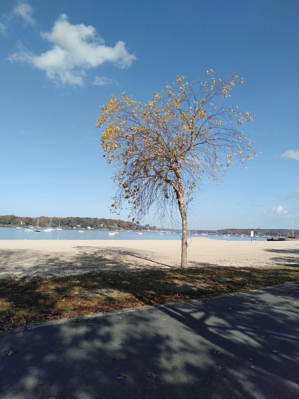 Sandee - Beekman Beach