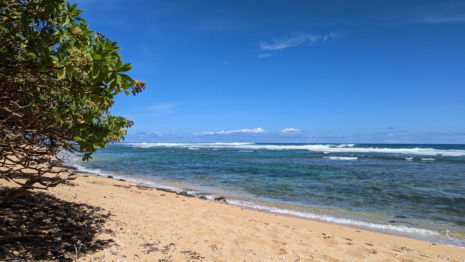 Sandee - Larsen's Beach