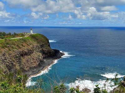 Sandee - Kilauea Point