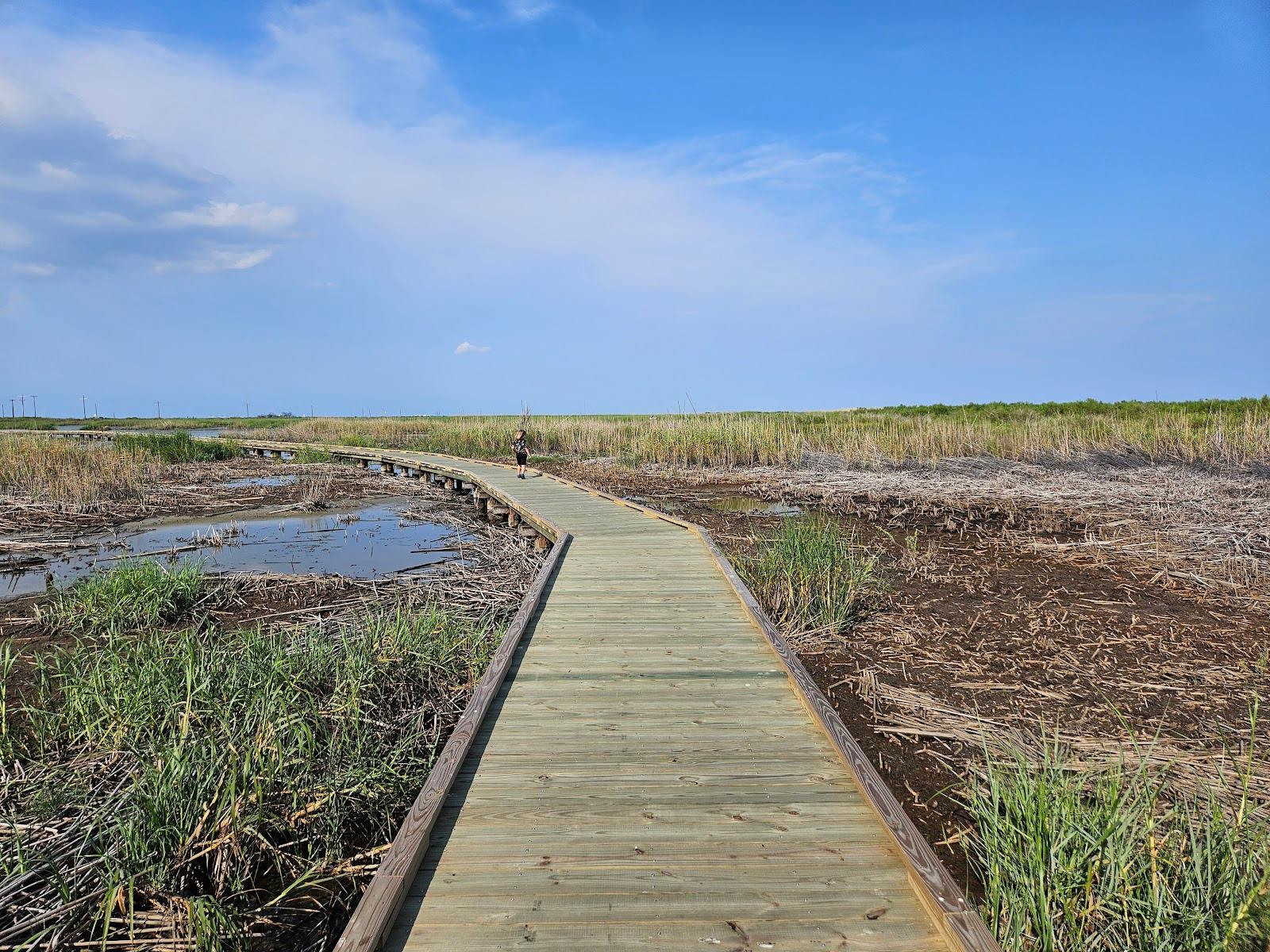 Sandee - Sea Rim State Park