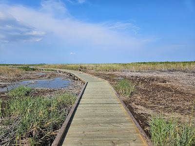 Sandee - Sea Rim State Park