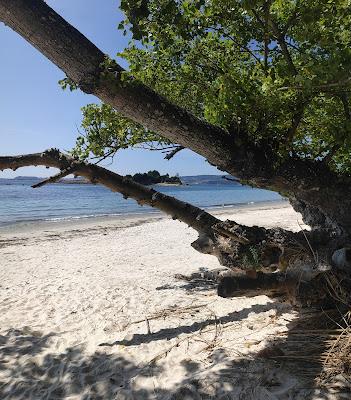 Sandee - Praia Do Santo