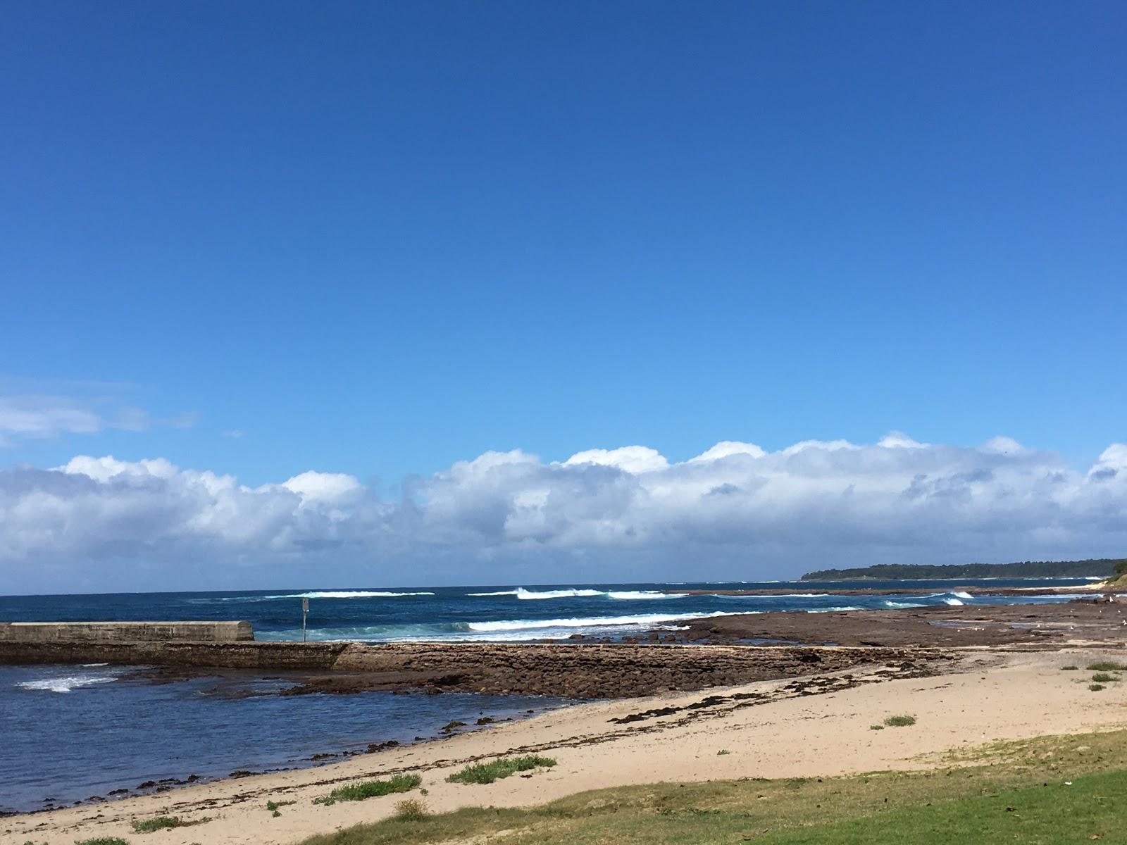 Sandee Shellharbour North Beach Photo