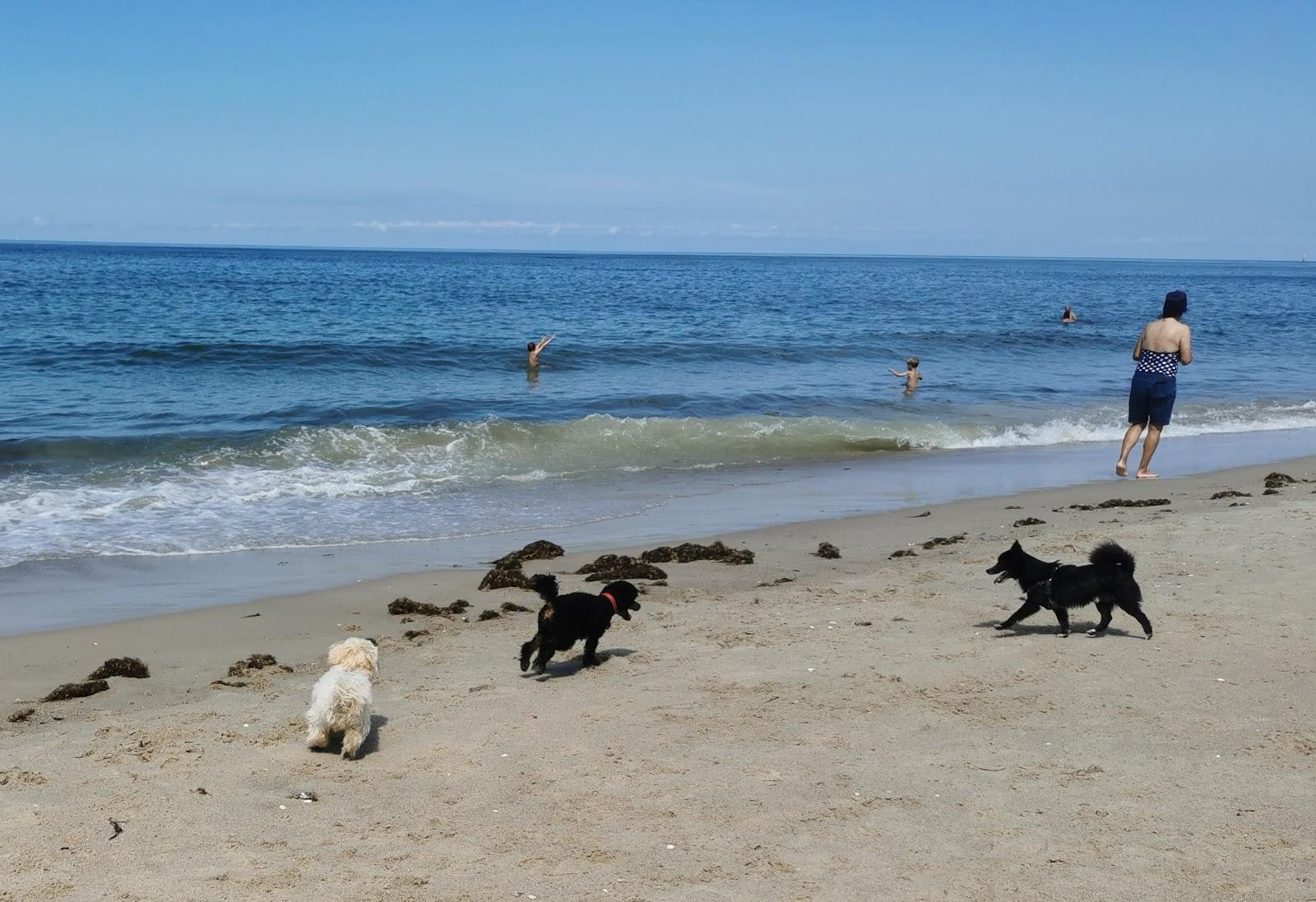 Sandee Hundestrand Sud
