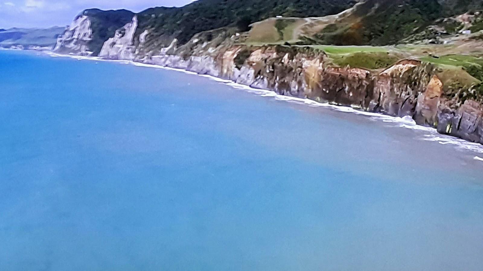 Sandee White Cliffs Walkway Photo