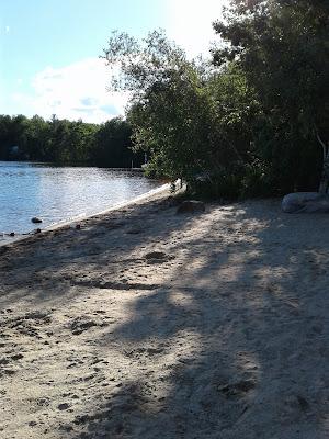 Sandee - Jaffrey Public Beach