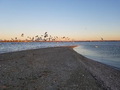 Sandee - Warren Town Beach