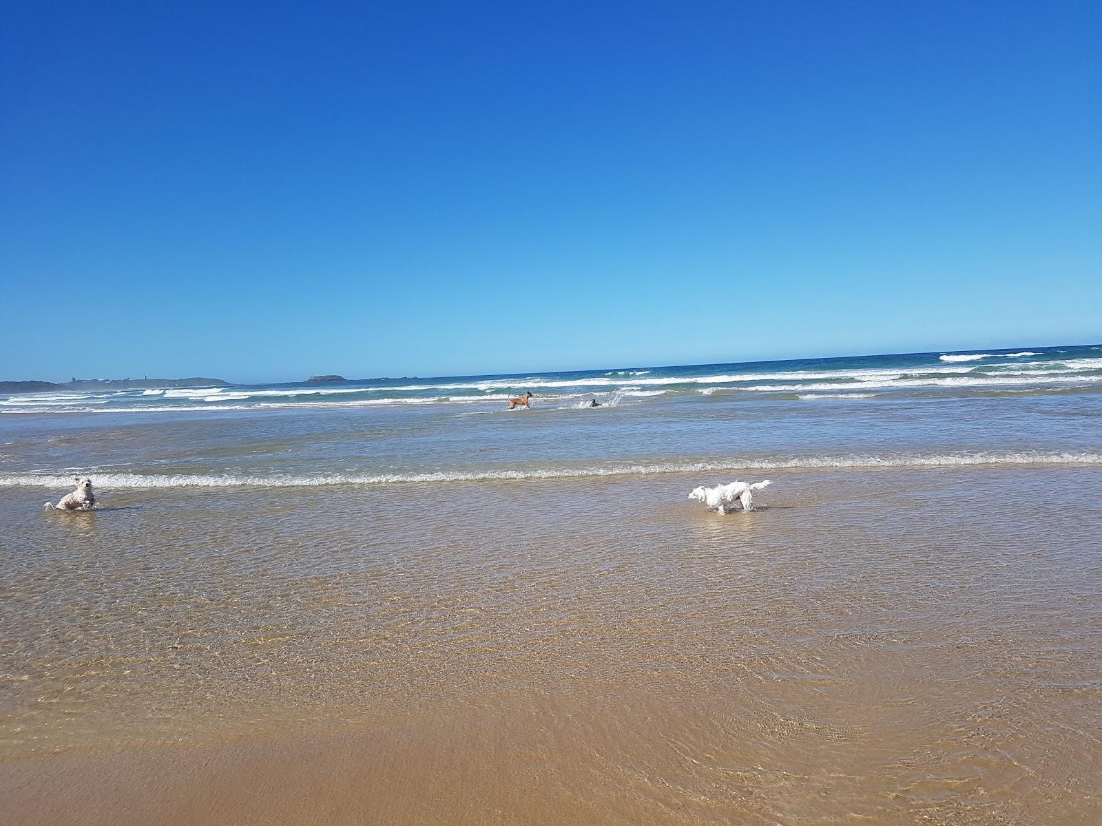 Sandee Hearnes Lake Beach Photo