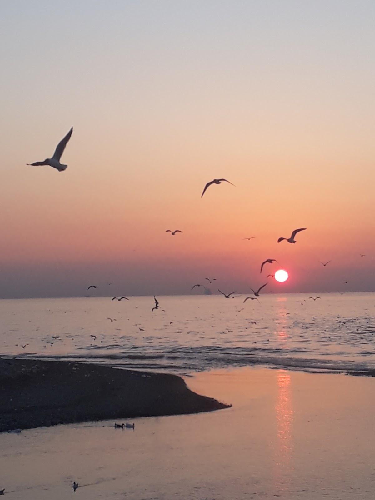 Sandee Plaj - Beach - Strand Photo