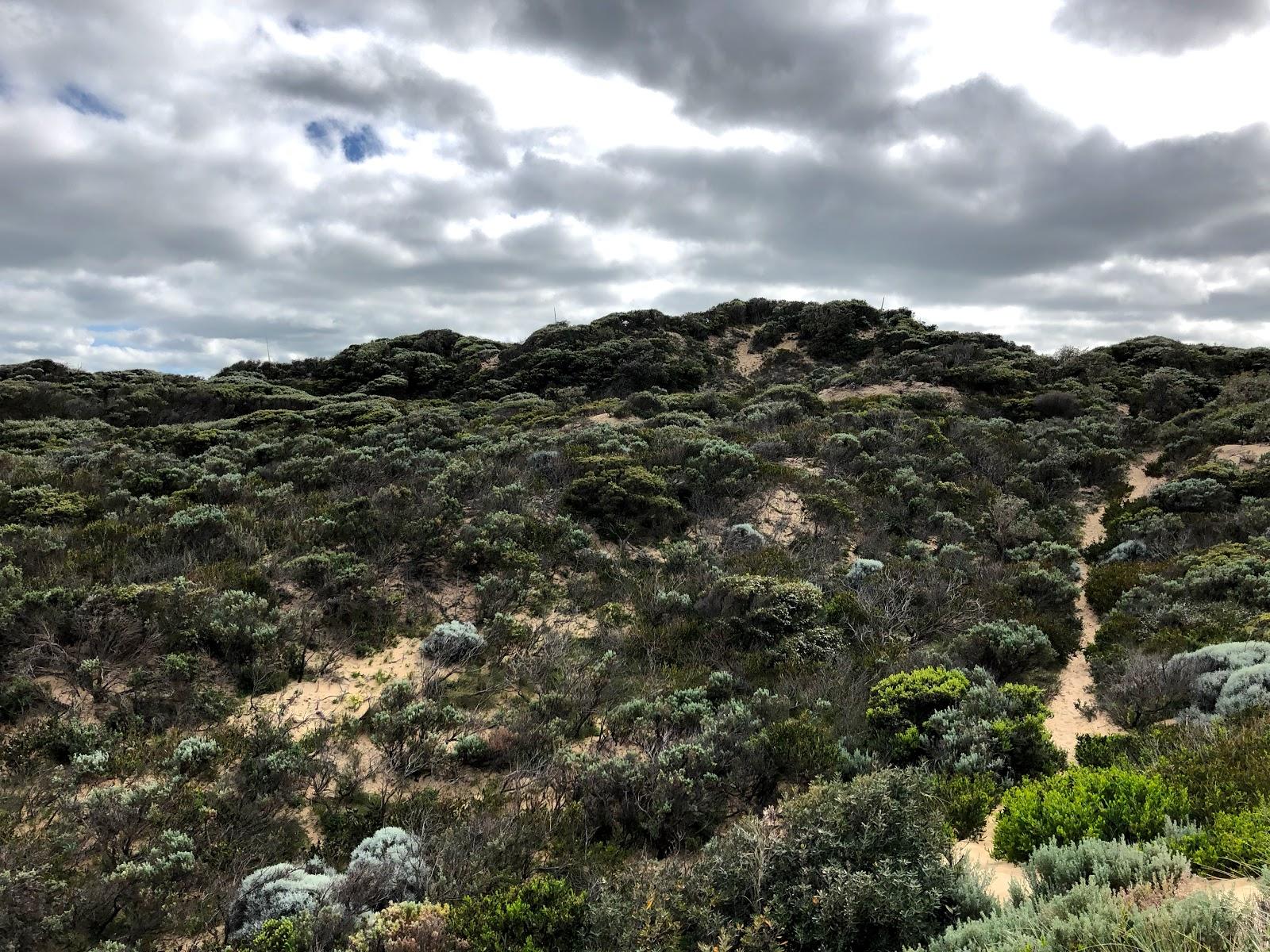 Sandee Baxter Beach Photo