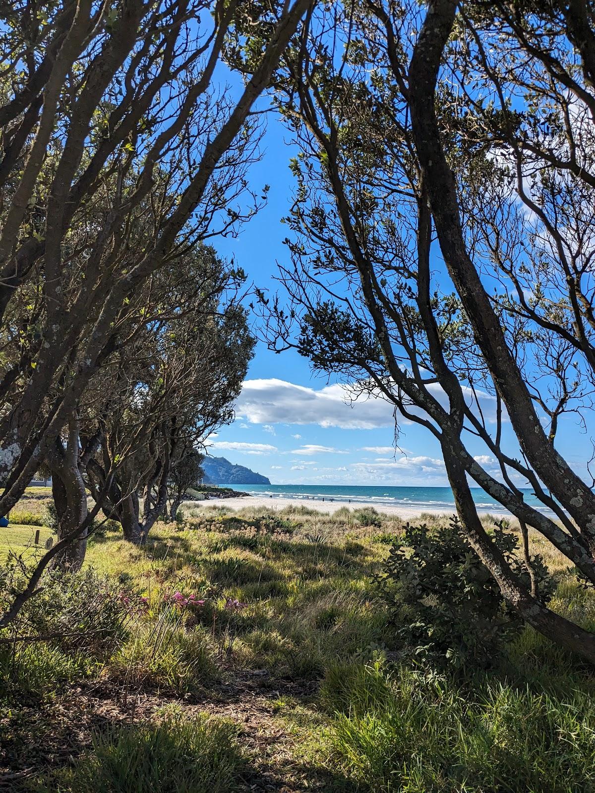 Sandee Seaforth Rd Rec Reserve Photo