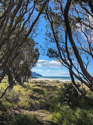 Sandee - Seaforth Rd Rec Reserve