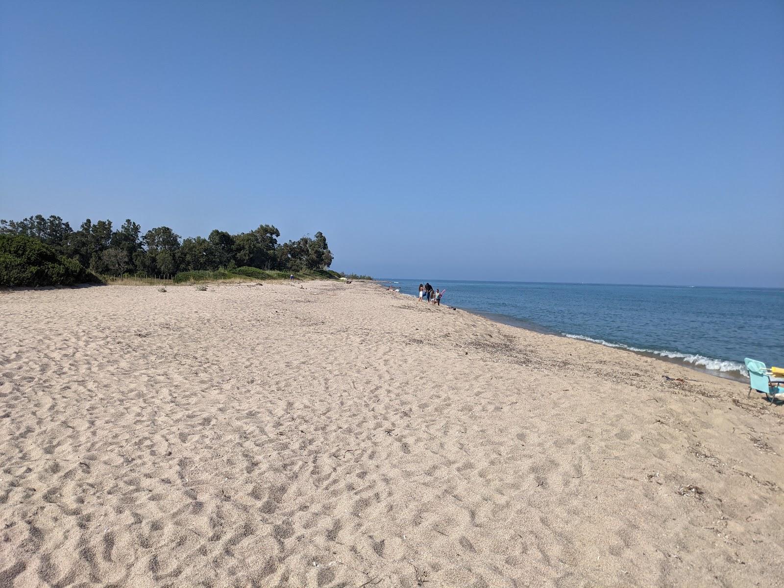 Sandee Plage De Chiola