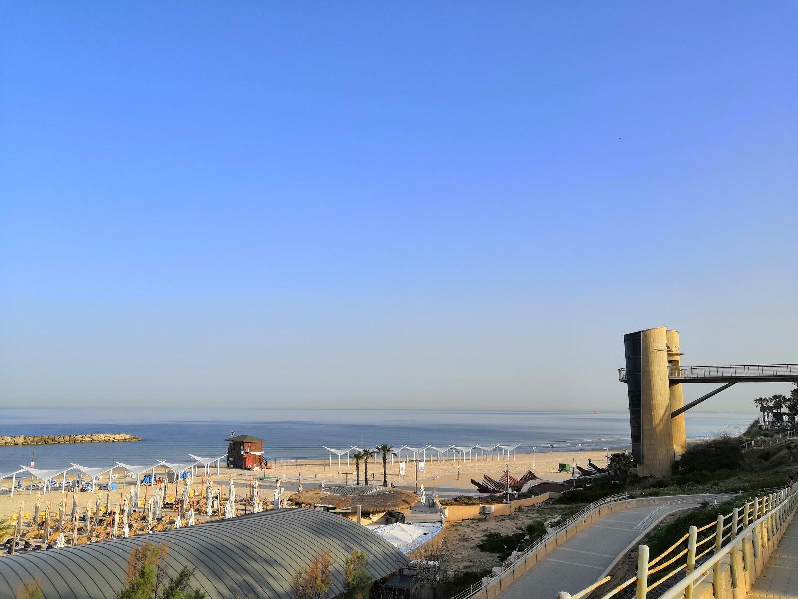 Sandee Haim Herzog Promenade, Herzilya Photo