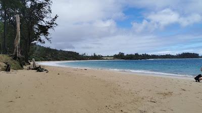 Sandee - Kaipapau Beach