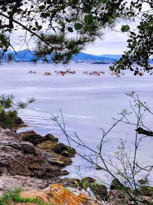 Sandee - Praia Do Tronco