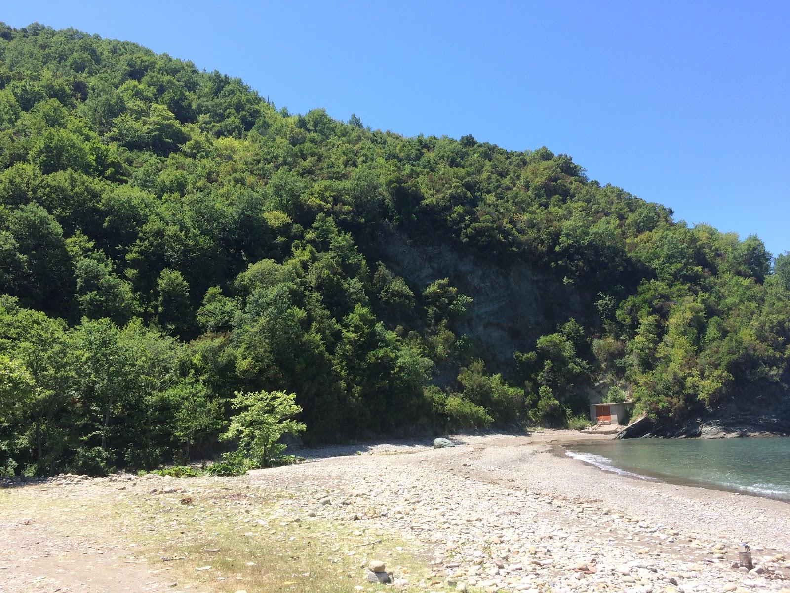 Sandee Camaltı Koyu Plajı